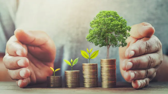 trees growing out of coins